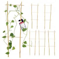 PERGOLA PODPORA DRABINKA BAMBUSOWA 45 CM 5 SZT