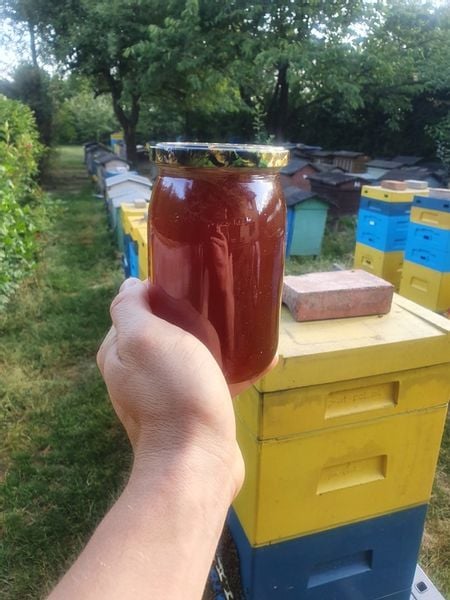 Miód Leśny Park Krajobrazowy Lasy Janowskie zdjęcie 2