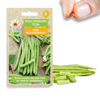 FASOLKA SZPARAGOWA NASIONA FASOLI TYCZNA ZIELONE HILDS NECKARKONIGIN p