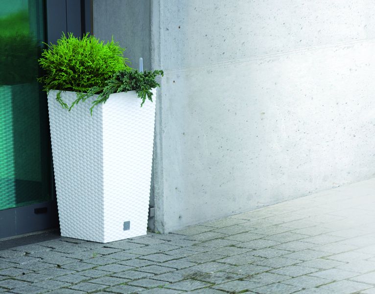 Donica Rattan DRTS400 z wkładem + platforma jezdna zdjęcie 3