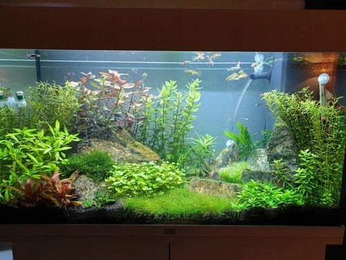 LAWA LAWA WULKANICZNA 2-8 mm 25 kg ŻWIREK AKWARIUM NA DNO na Arena.pl