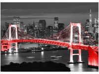 OBRAZ DRUK TOKYO MOST TĘCZOWY CZERWIENI