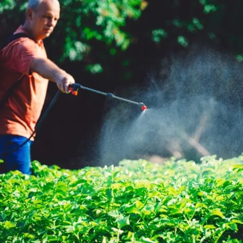 OPRYSKIWACZ CIŚNIENIOWY OGRODOWY RĘCZNY 5L LANCA na Arena.pl