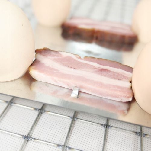 ŻYWOŁAPKA PUŁAPKA NA KUNY SZCZURY ŁASICE NORKI TCHÓRZE ŁASKI ŁAPKA na Arena.pl