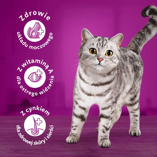 WHISKAS Sucha Kurczak 14kg na Arena.pl