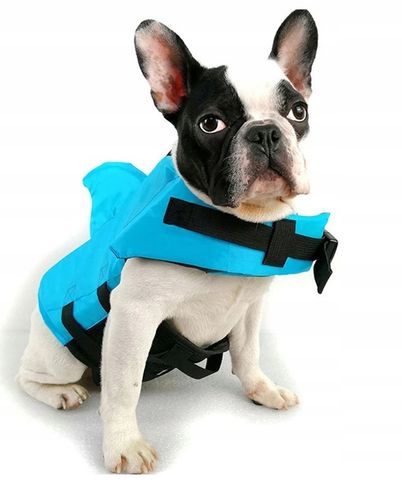 KAPOK KAMIZELKA RATUNKOWA DLA PSA do Wody Rekin S Ubranko do Pływania Fazoo na Arena.pl