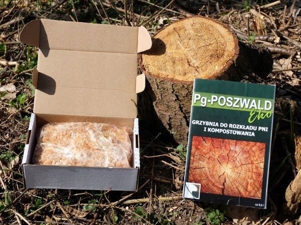 PG POSZWALD EKO GRZYBNIA DO KOMPOSTOWANIA 0,6 zdjęcie 2