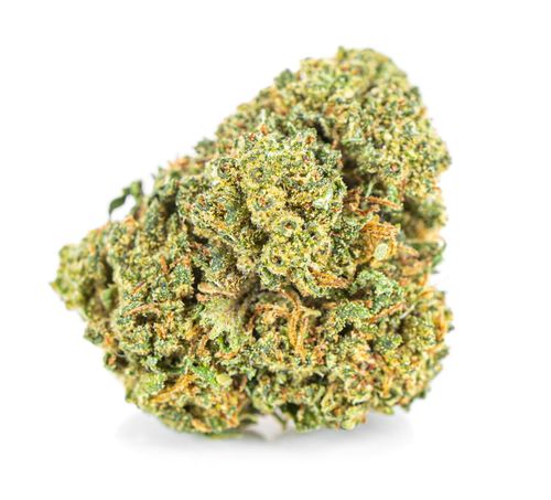 Susz konopny CBD | AMNESIA HAZE | 100 g na Arena.pl