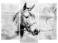 product-compare-58672659