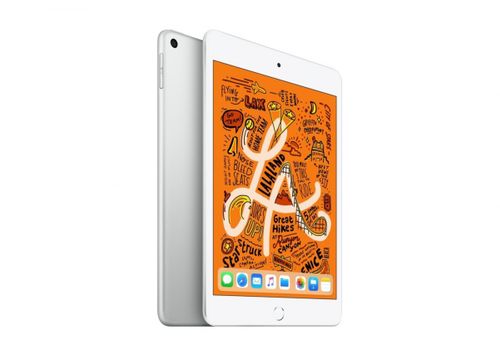 IPad mini Wi-Fi 256GB Silver 7,9'' MUU32FD/A na Arena.pl