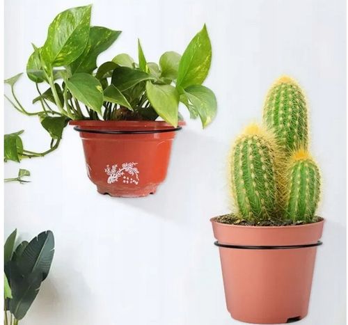 UCHWYTNA PIŁKĘ MAŁY na Arena.pl