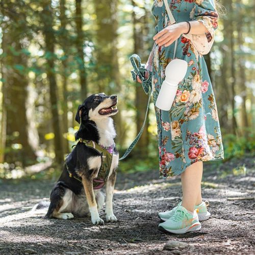 Butelka na Wodę dla Psa Bidon z Miską Poidło Turystyczne Składane na Arena.pl