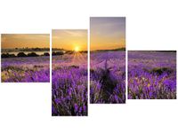 130CM 90 OBRAZ 4 ELEM POLE LAWENDY ŚCIENNY