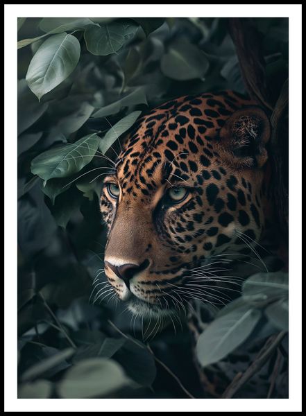 Plakat 64x90cm Schowany w Cieniu zdjęcie 3