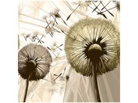 40CM 40CM OBRAZEK DMUCHAWCE SEPI DRUK PŁÓTNO OBRAZ