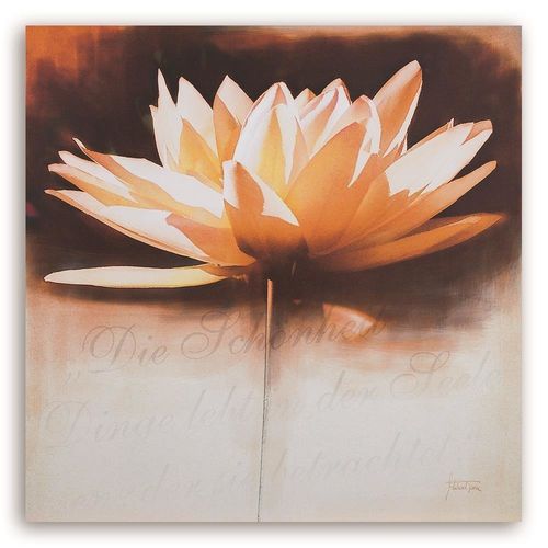 Deco Panel, Lilia wodna 60x60 na Arena.pl