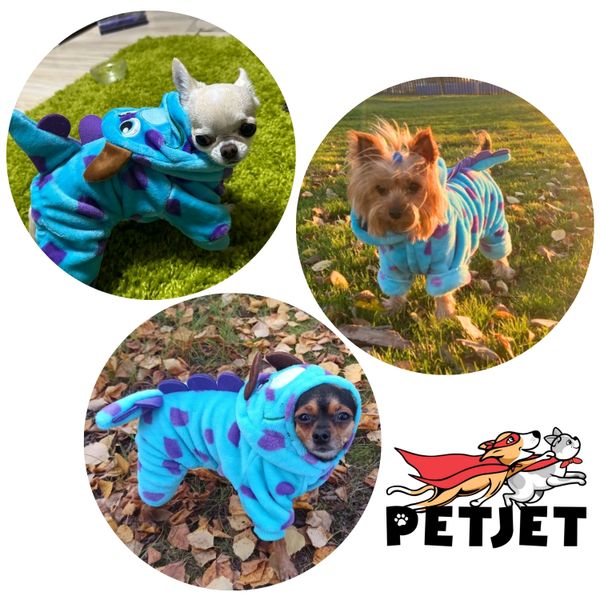 Kostium przebranie dla psa sulley - S zdjęcie 8