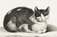 product-compare-59641121