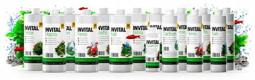 INVITAL Carbon 500ml na Arena.pl