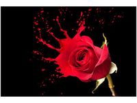 product-compare-58693799