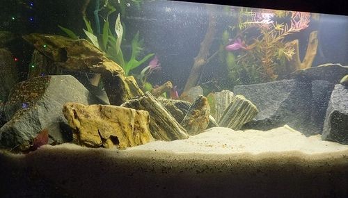 PIASEK KWARCOWY DO AKWARIUM - NAJCZYSTSZY 0,5-1,2 15 KG Drobny, Jasny na Arena.pl