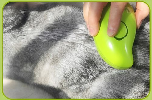 SZCZOTKA PAROWA DLA KOTA PSA ZWIERZĄT MASAŻER GRZEBIEŃ ELEKTRYCZNY SIERŚĆ na Arena.pl