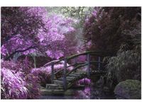 product-compare-58694876