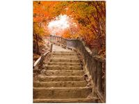 50X70CM JESIENNY SPACER OBRAZ PION ŚCIAN