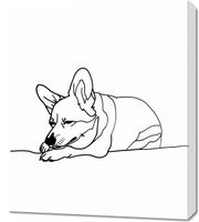 Obraz 60x70cm Śpiący Corgacz