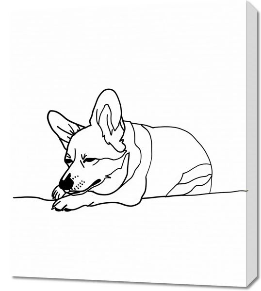 Obraz 60x70cm Śpiący Corgacz zdjęcie 1