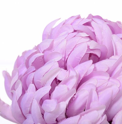 Chryzantema wyrobowa pearl violet na Arena.pl