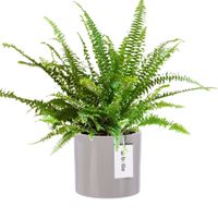 Doniczka osłonka ceramiczna Ø 12,5cm H 12cm kolor Jasny szary połysk