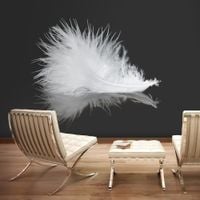Fototapeta - White feather 300x231