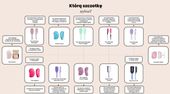 Szczotka do rozczesywania Tangle Teezer Panther Black