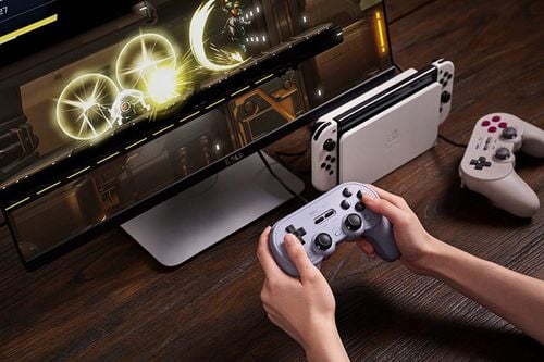 Kontroler 8BITDO Pro 2 Wired Gamepad Szary na Arena.pl