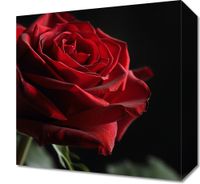 product-compare-59493357