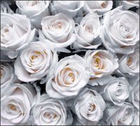 Tło do fotografii produktowej kulinarnej Flat Lay