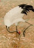 Plakat 13x18cm Sarus Crane, G.A. Audsley Japoński Vintage
