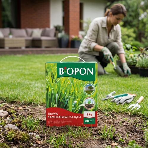 BOPON - Trawa Samozagęszczająca 80 m² - 2 kg na Arena.pl