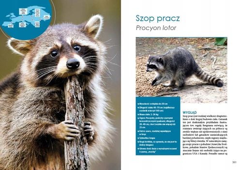 Ssaki drapieżne Europy na Arena.pl