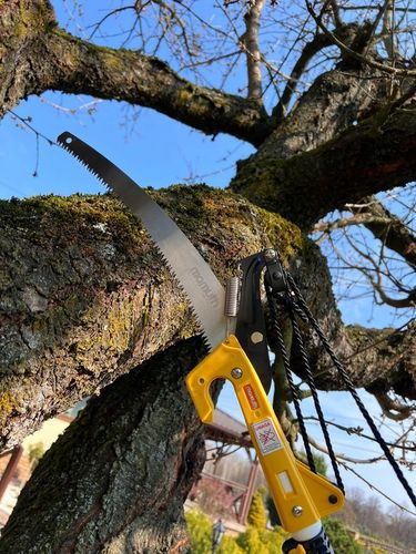 PIŁA TELESKOPOWA Z SEKATOREM NA TRZONKU 3,75m 375cm DO GAŁĘZI 2w1 na Arena.pl