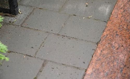 TENZI Top-Efekt Moss dach elewacja usuwanie glonów mchów i porostów 1L na Arena.pl