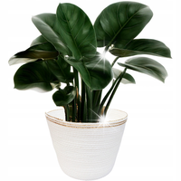 DONICZKA BIAŁA DUŻA 23cm naturalna na balkon taras bonsai zamiokulkas boho