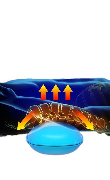 Mata masująca do masażu masażer Shiatsu grzanie do domu i samochodu Gateway zdjęcie 5