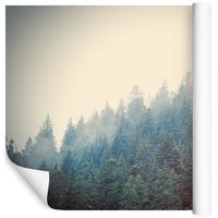 Fototapeta Las we Mgle Drzewa PEJZAŻ do Salonu 450x300