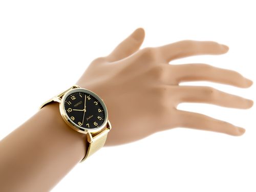 ZEGAREK DAMSKI PERFECT F332-04 - mesh (zp930e) + BOX na Arena.pl