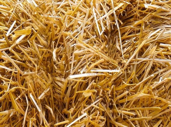 Słoma PSZENNA ściółka do budy dla psa ,ściółka pod truskawki 4KG zdjęcie 1