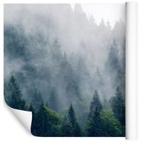 Fototapeta 3D Mglisty Las Górski PEJZAŻ do Salonu 135x90