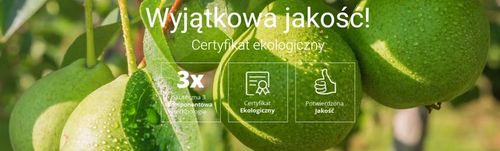 AdeSil krzemowy biostymuator wzrostu roślin 1 kg na Arena.pl