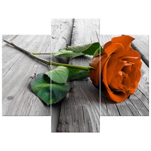 Obraz Na Płótnie 90X70 Różyczka na Arena.pl